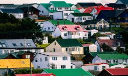 Featured image of post Falkland Islands Penguins