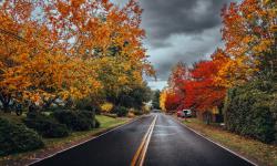 Featured image of post Fall in the Pacific Northwest - 2025