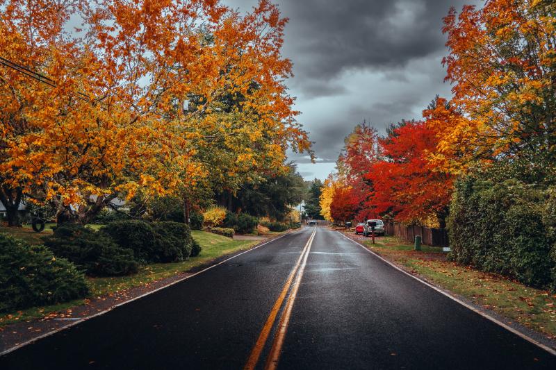 Featured image of post Fall in the Pacific Northwest - 2025