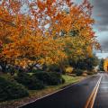 Fall in the Pacific Northwest - 2025